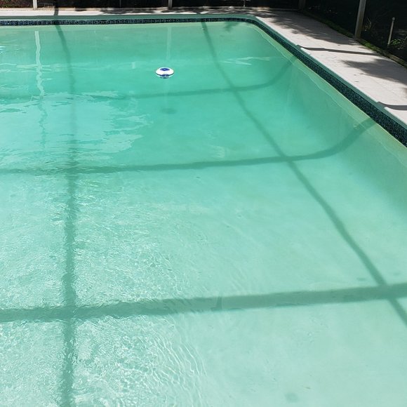 Meet your Posher, Napoleon - Picture 2 of 3